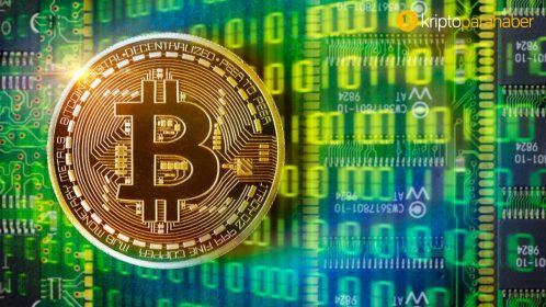 Yeni bir anket kripto para sektörüne yön verenleri açığa çıkardı!