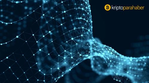 Bitfinex, bu altcoin’de koin çekme işlemlerini askıya aldı – işte ayrıntılar