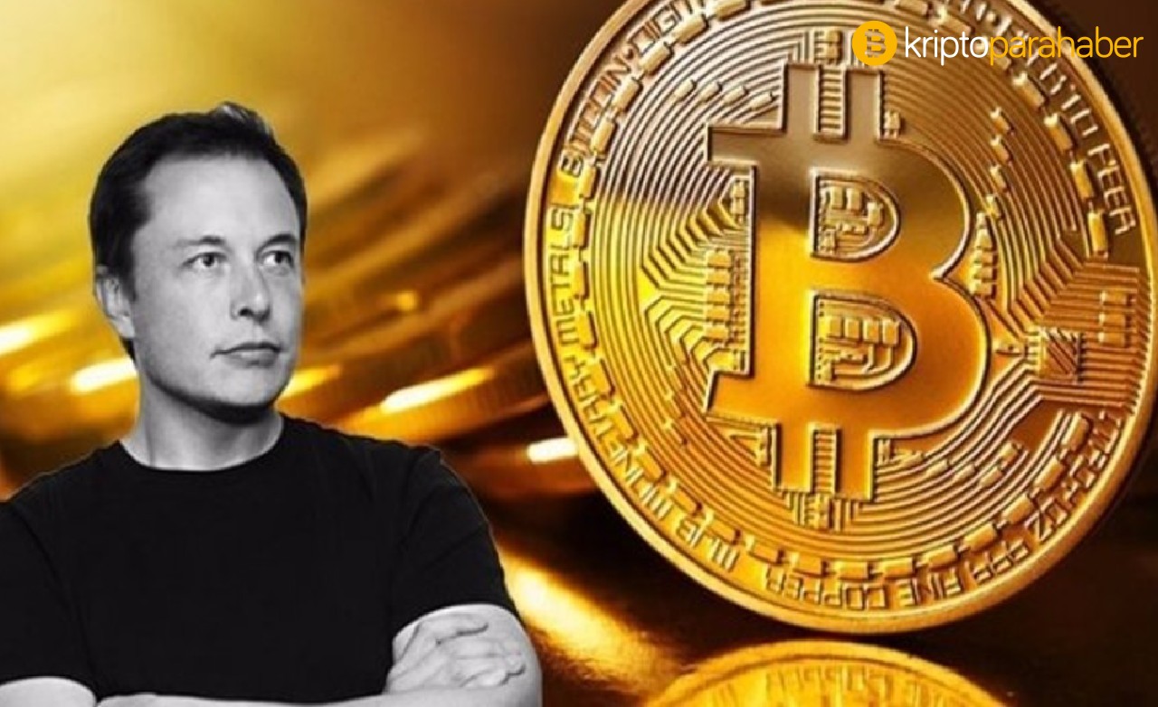 Şok iddia: Elon Musk, büyük bir Bitcoin balinası olabilir mi?