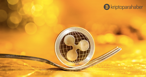 XRP tabanlı Flare Finance’in Airdrop’unu büyük borsalar destekleyecek mi?