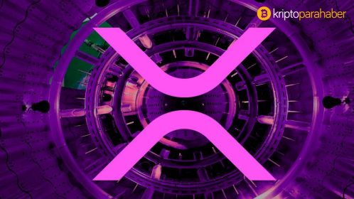 XRP balina sayısı Spark Airdrop yaklaşırken tüm zamanlar rekoru kırdı