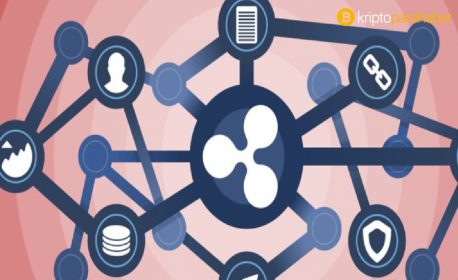 Ripple CTO’su XRP topluluğuna acımadı – işte ayrıntılar