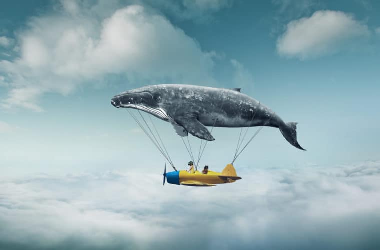 Bir balina 1 milyar dolarlık kripto para hareket ettirdi – neler oluyor?
