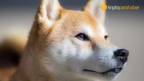 Popüler altcoin’den şaşırtan performans: Fiyat yüzde 90 arttı