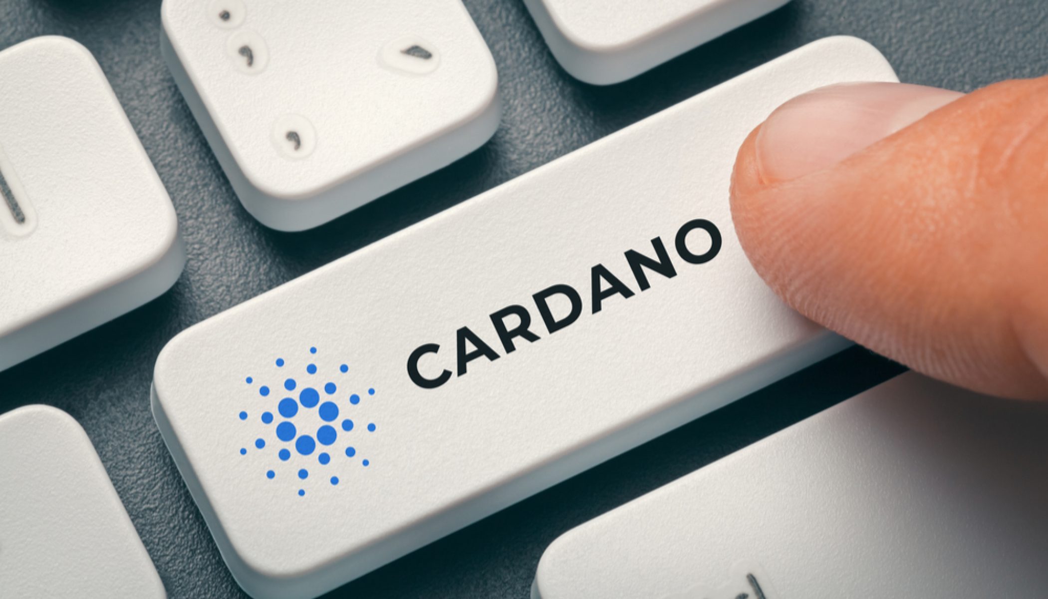 Cardano tamamen merkezsiz hale geldi