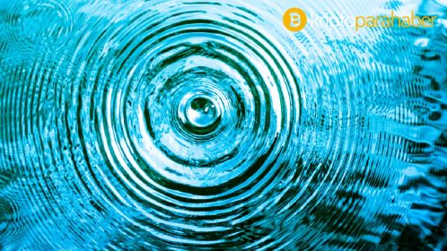 Polychain, DeFi kredi protokolüne liderlik ediyor – işte ayrıntılar