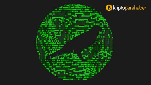 Phala Network, Polkadot (DOT) ekosistemine zincir içi gizliliği nasıl getiriyor?