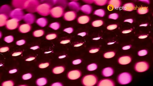 Polkadot (DOT) fiyatı roketledi – sıradaki rakip XRP