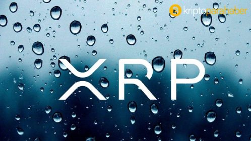 Ripple (XRP) için fırsat mı? Kripto deneyimi olan bu isim SEC’in başına geliyor