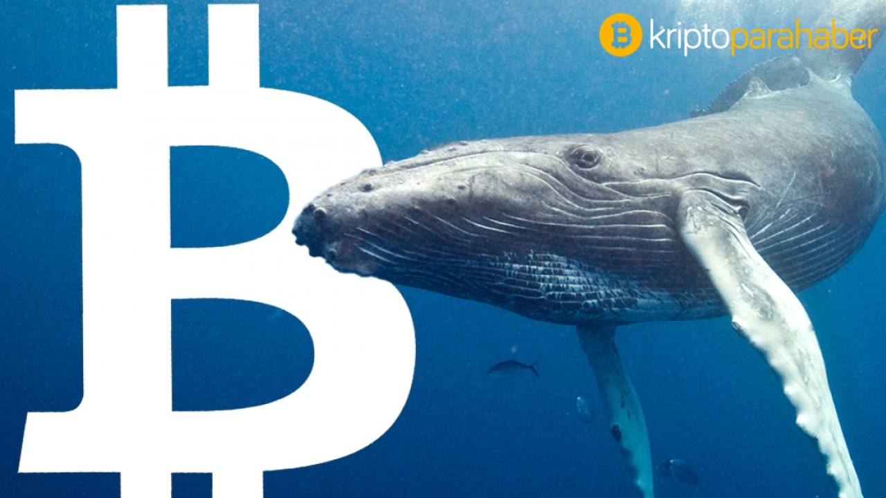 8 yıllık Bitcoin balinası uyandı! 300 bin doları 150 milyon dolar yapmıştı…