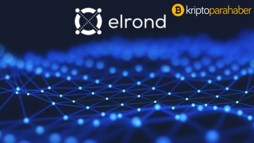 Elrond (EGLD) CEO’su basitleştirilmiş deneyimle bir milyar yeni kripto kullanıcısını hedefliyor