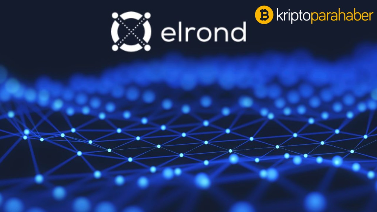 Elrond (EGLD) CEO'su basitleştirilmiş deneyimle bir milyar yeni kripto kullanıcısını hedefliyor