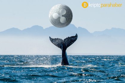 Ripple balinalarından devasa XRP transferleri – neler oluyor?