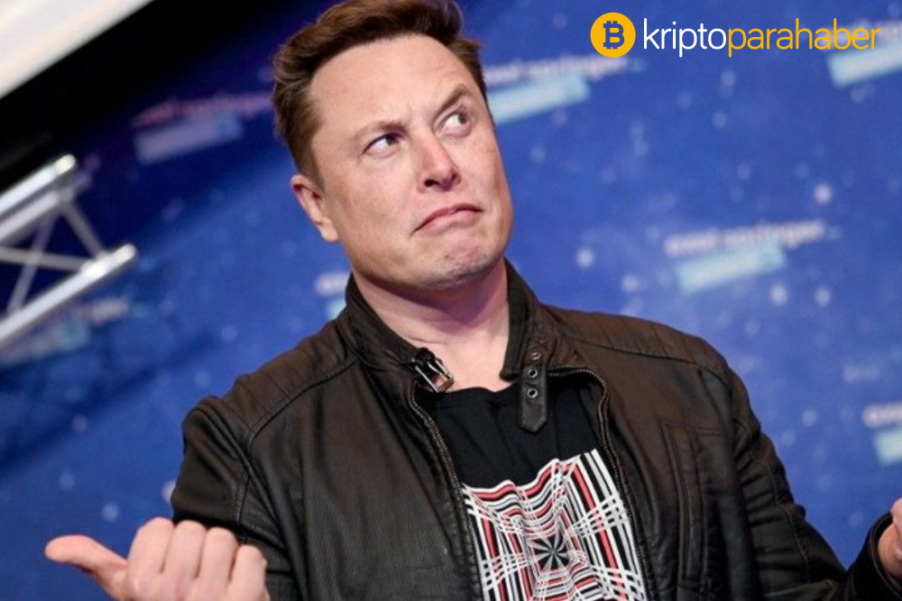 Bu kripto para birimi Elon Musk tweetinden sonra yüzde 300 sıçradı