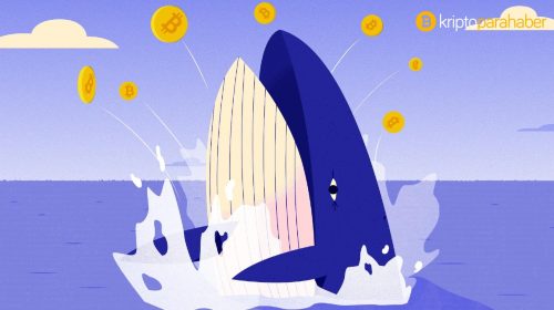 Milyar Dolarlık Bitcoin Balina Hareketi – Neler Oldu?