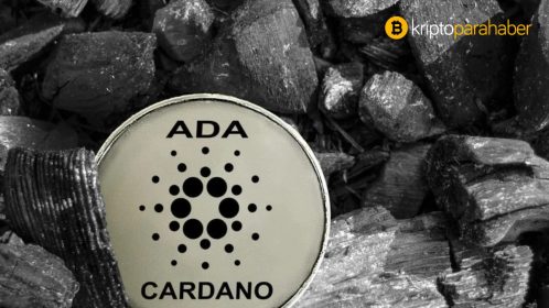 Cardano yatırımcıları için soru net: Halen umut var mı? Yanıtı burada