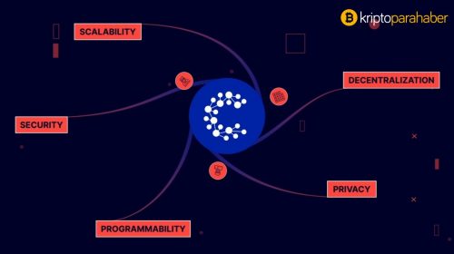 CasperLabs, Terra Virtua koleksiyon platformuyla iş ortaklığı yapıyor