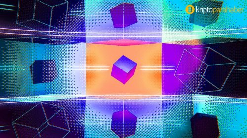 Bu şok yasak oyun devinin çok eleştirdiği NFT sektörüne girmesine neden oldu