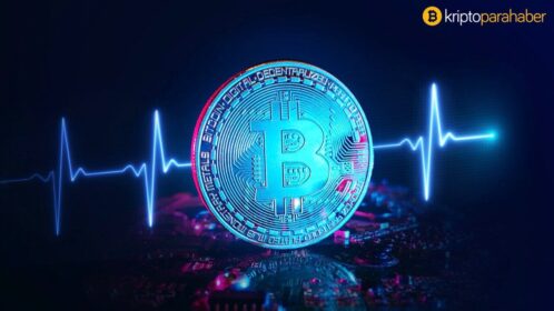 8 senedir tüm tahminleri tutan “Bitcoin kâhininden” mesaj var: Geleceği anlattı!