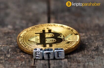 Geçen ay 2 milyar dolarlık Bitcoin hisse senedi satın alındı