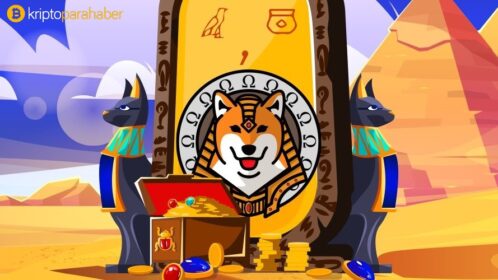 AnubisDAO için toplanan 60 milyon dolar, gizemli bir şekilde kayboldu!