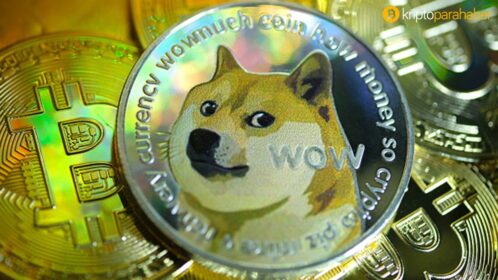 Politikacı Gokhshtein: “Dogecoin çok fazla kişinin Bitcoin’e girmesine izin verdi”