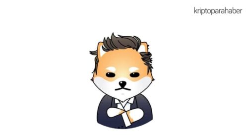 Kripto dünyasını hayvan figürlü coinler sardı: Sıra Dogelon Mars coinin!