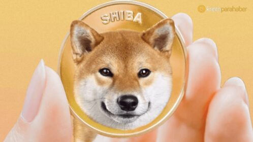 Shiba Inu, Robinhood listelemesi için 500 bin imzaya yaklaştı