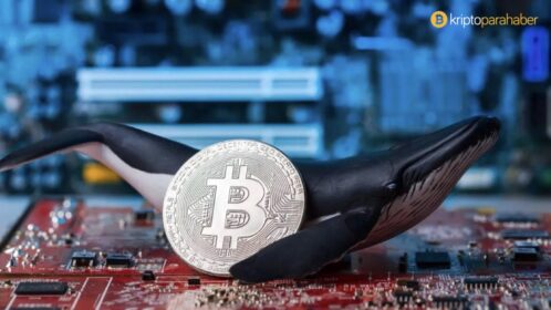 Şok gelişme: 11 yıllık “zombi cüzdan” uyandı! İçinde milyonlarca dolarlık Bitcoin var