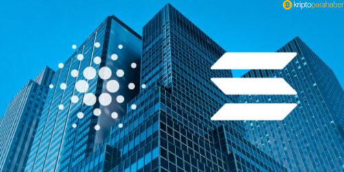 Solana ve Cardano fiyat analizi: Artış beklentisi bulunuyor mu?
