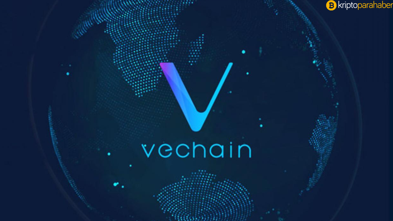 VeChain ekosistemindeki DEX, yerel tokenini ve getiri programını başlatıyor