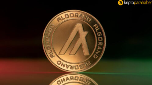 Algorand yakın zamanda ATH oluşturabilir, işte detaylar!