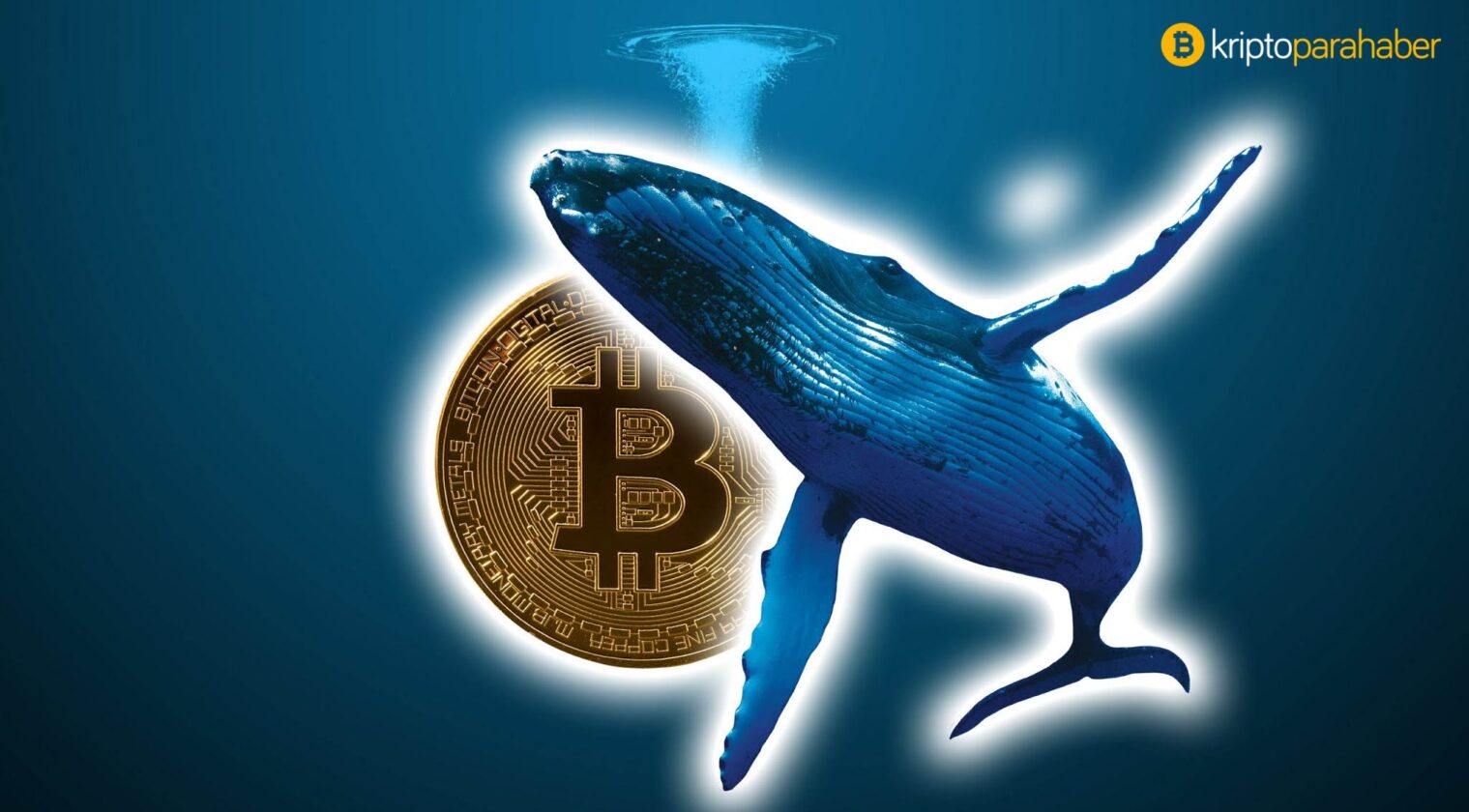 Bitcoin fiyatı, Ekim ayı boyunca balinalar tarafından desteklendi!