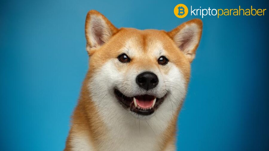 Dogecoin fiyat analizi: DOGE yukarı yönlü ivme kazandı!