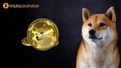 İşlem büyüklüğü artarken Dogecoin sahiplerinin çoğunluğu kârda!