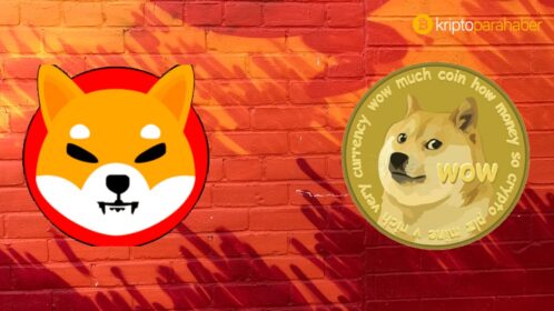 Meme coinler piyasayı ele aldı: 2021 yılında patlama yaşadı