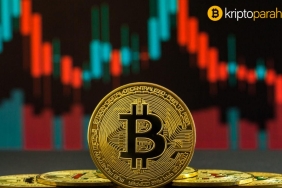 Bitcoin durgunlaşırken; bu altcoinlerin piyasa hakimiyeti artıyor!