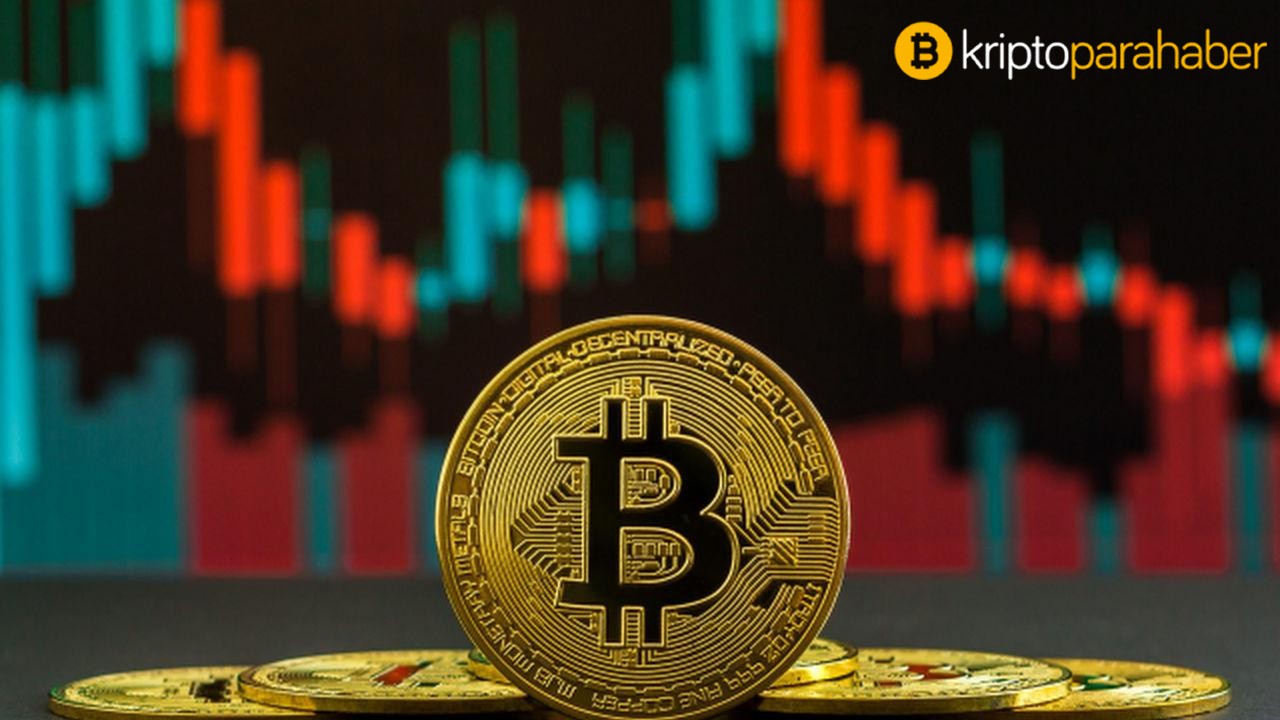 Bitcoin durgunlaşırken; bu altcoinlerin piyasa hakimiyeti artıyor!