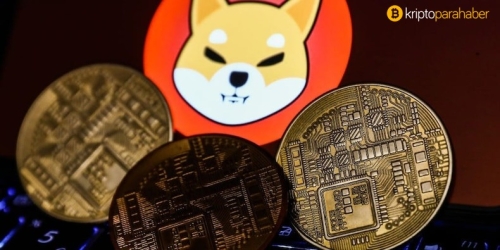 Shiba Inu ve Avalanche, kripto piyasasının toparlanmasına öncülük ediyor