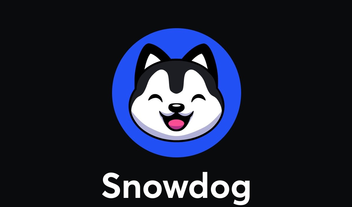 Avalanche'in şaka parası SnowdogDAO rug pull kurbanı oldu