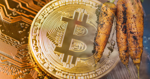 Bitcoin Taproot yükseltmesi piyasalarda beklentileri neden karşılayamadı?