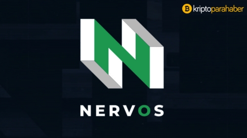 CKB token fiyat analizi: CKB fiyatında yaşanan gelişmeler