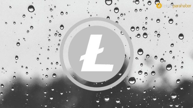 Litecoin fiyat analizi: LTC için takip edilecek seviyeler ve geleceği
