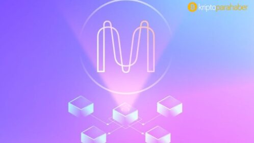 MINA tüm zamanların en yüksek seviyesine ulaştı; yükseliş sürecek mi?