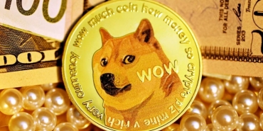 Ripple CEO'su Barlingstone'a göre Dogecoin (DOGE) kripto piyasasına fayda sağlamıyor.