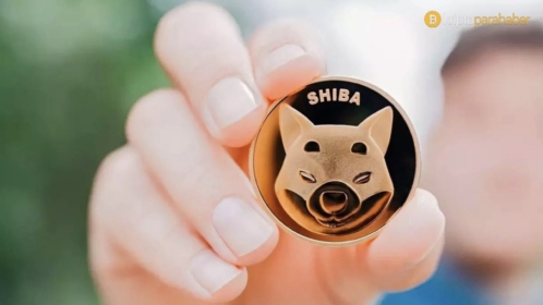 Kripto analiz firmasından çarpıcı Shiba Inu raporu! “Önemli bir varlık”