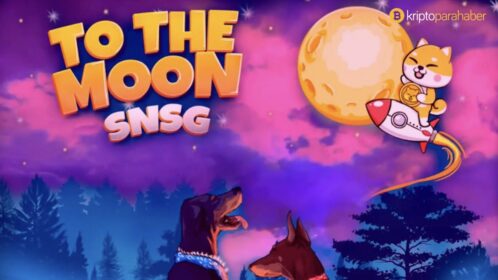 Shiba hayranları müjde: “Shiba Inu Marşı” çıktı! Dinlemek isteyenler buraya