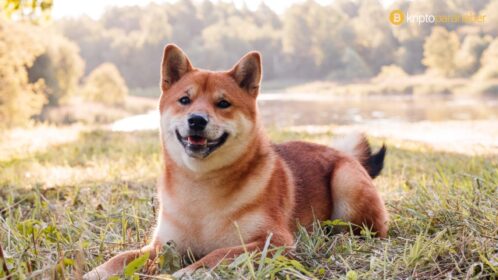 Shiba Inu kritik eşikte! Kırılma hangi yönde olacak? İşte yanıtı ve SHIB fiyat tahmini