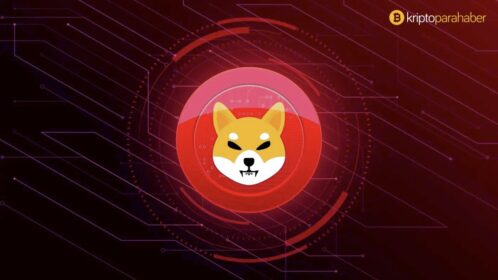 Shiba ve bu 4 altcoin sıçramaya hazır mı?