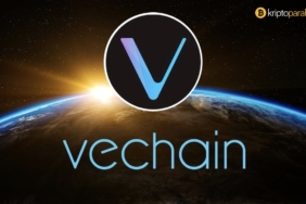 Vechain yorumu ve analizi: VET düşecek mi?